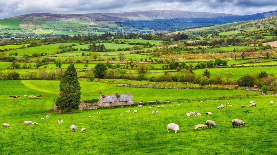 US Retirees Discovering Ireland: A Guide To Relocating And Ancestry Passports