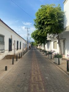 Quiet street lined with greenery. Valledupar, Colombia.