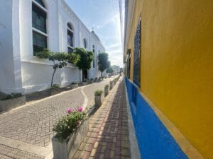 Colorful street with plants and buildings. Valledupar, Colombia.