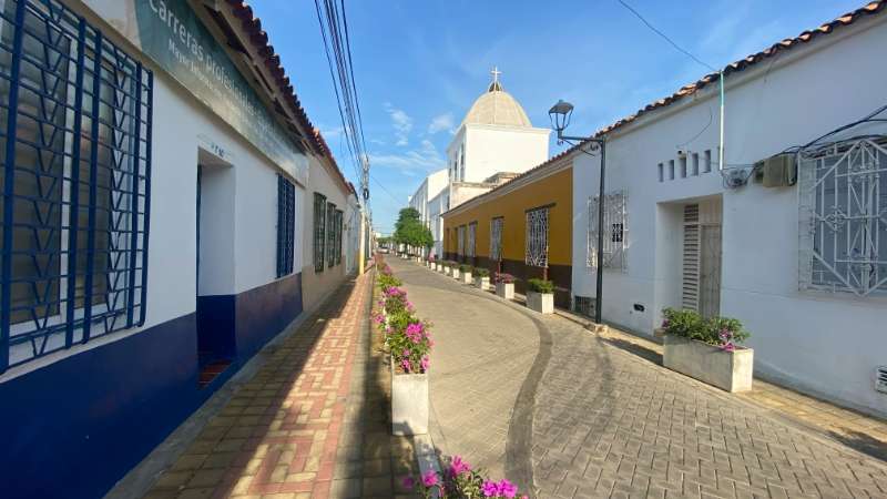 Colorful street with flowers and buildings. Valledupar, Colombia.