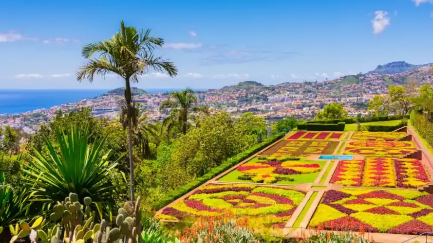 Madeira: Europe’s Island Paradise With A Tropical Vibe