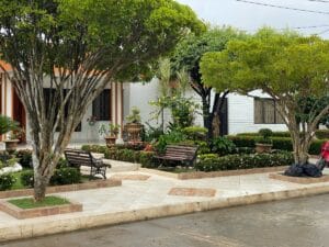 Outside garden. Monteria, Colombia.