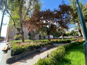 Park. Cuenca, Ecuador.