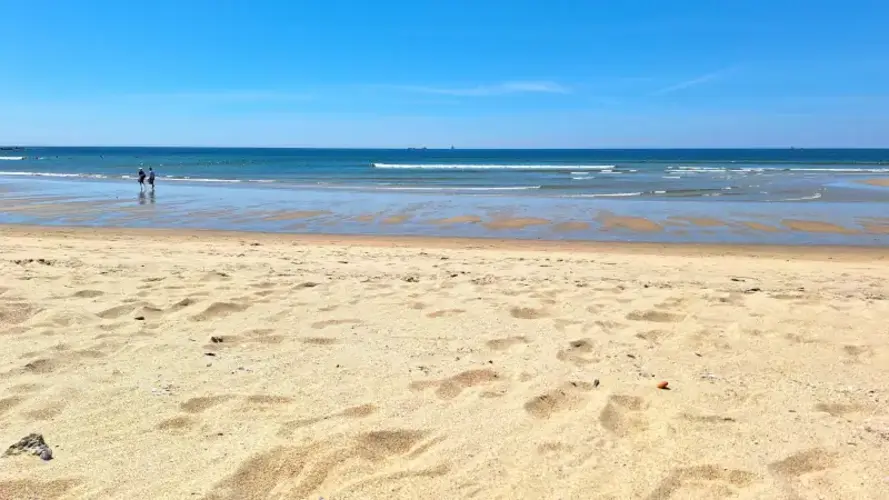 Portugal's Loud Conversations Are Pure Warmth