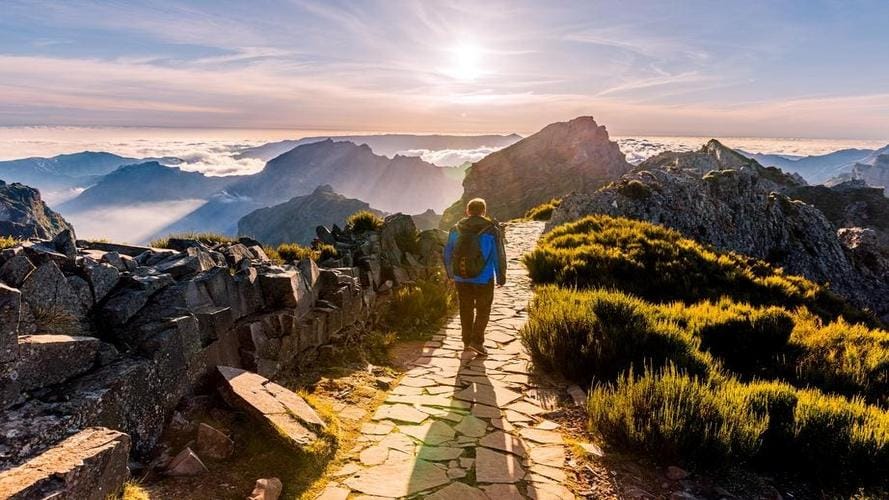 British Traveller Finds New Home In Algarve